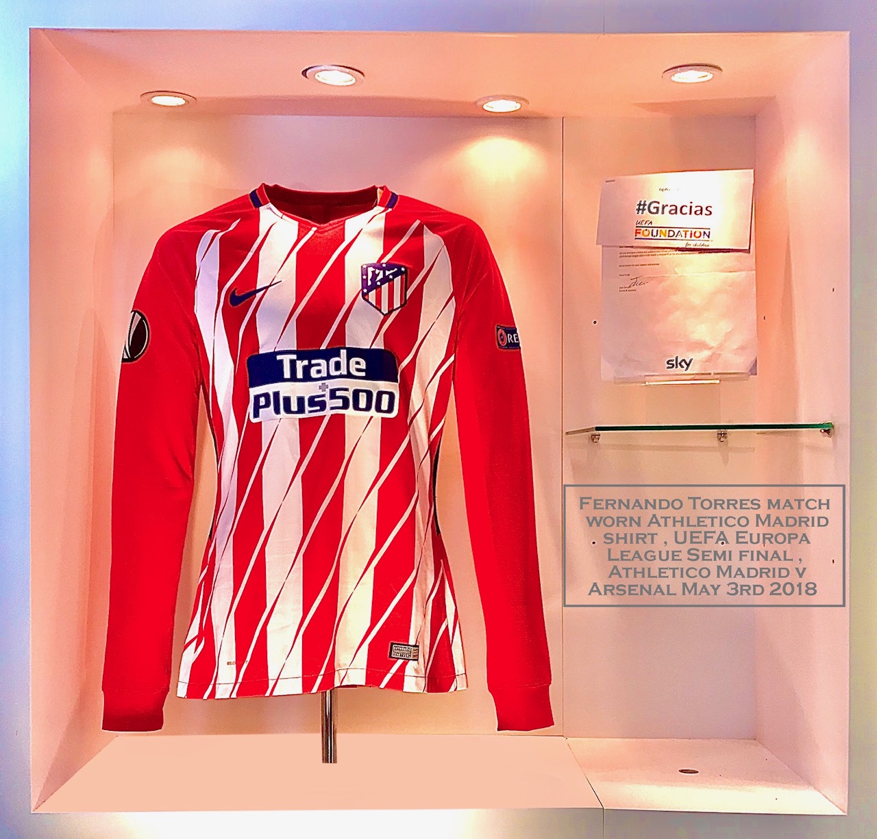 fernando torres football shirt